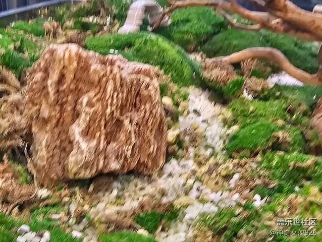 【星歲映像】微縮景觀