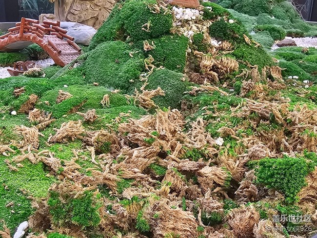 【星歲映像】微縮景觀