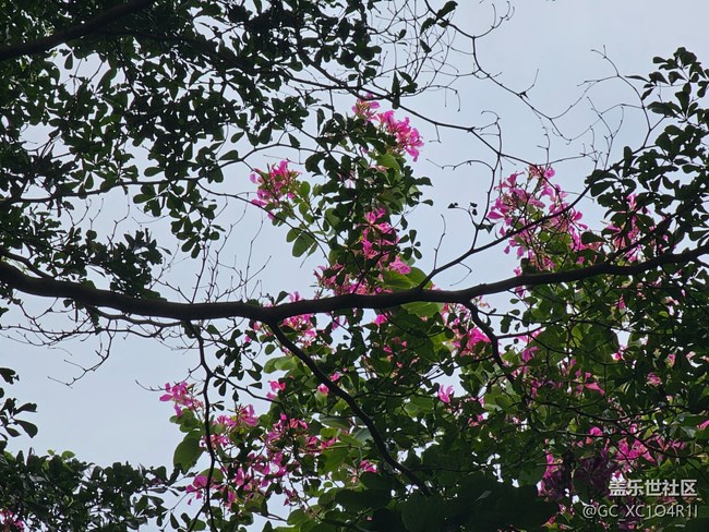 【街巷秋痕】街巷隨拍