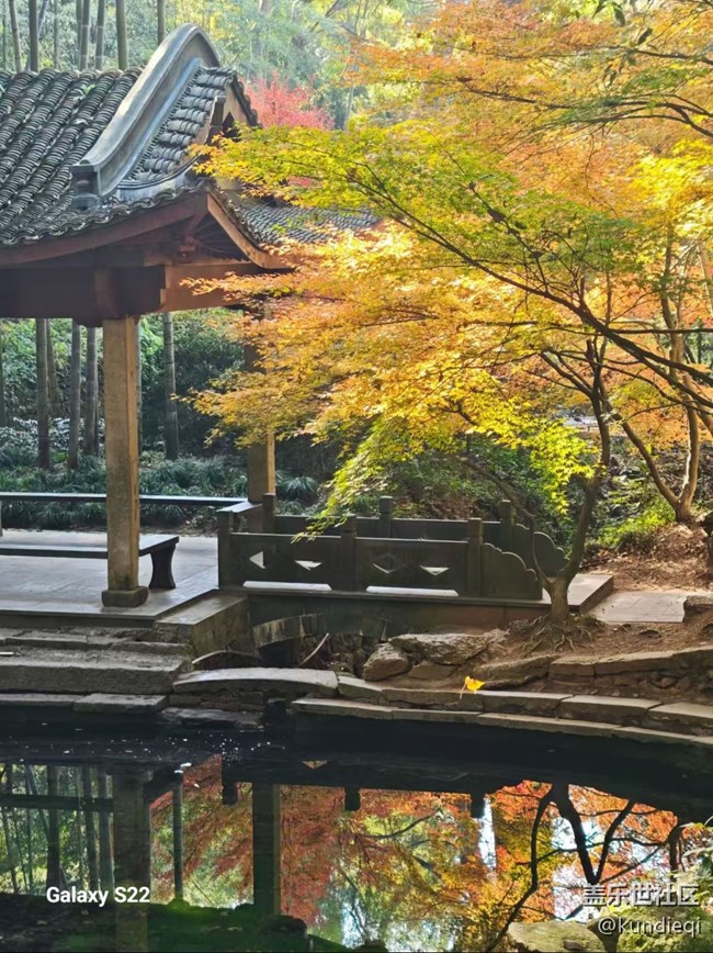 【三星視界】秋葉