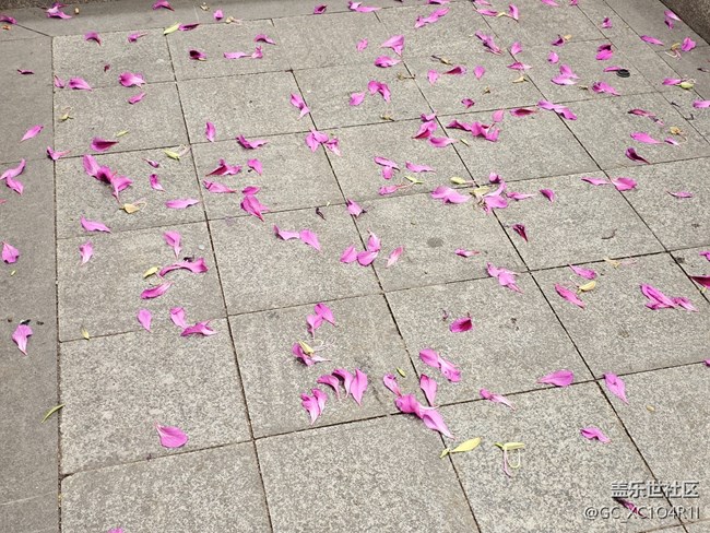 【街巷秋痕】街巷隨拍