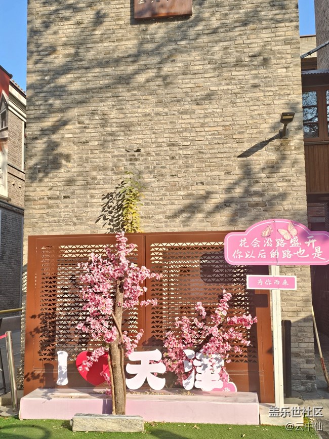 【星歲映像】天津掠影