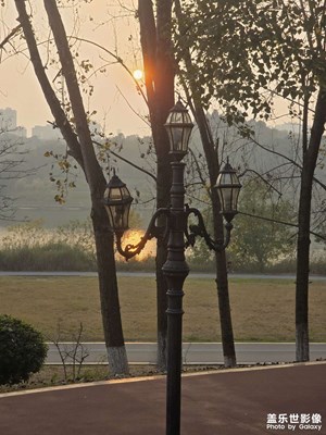 【順光逆光】暮色染河