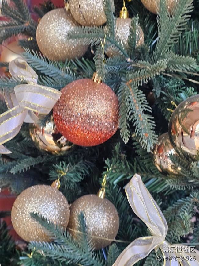 【星歲映像】圣誕飾品