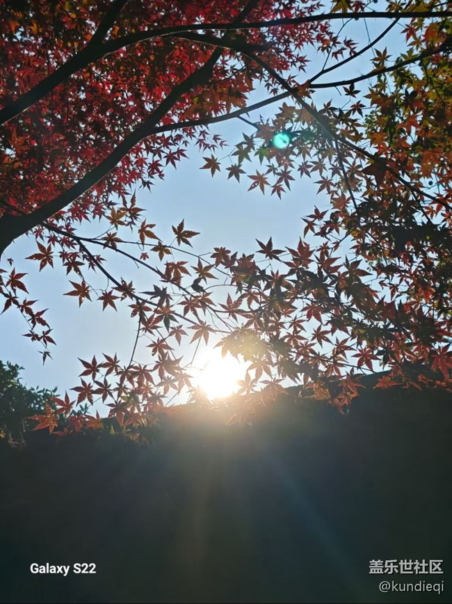 【三星視界】秋葉