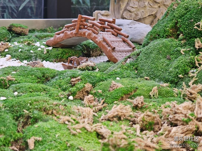 【星歲映像】微縮景觀