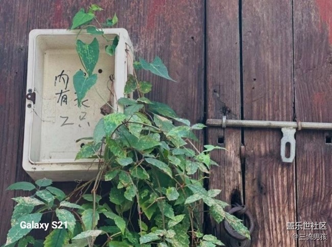 【三星視界】周末愉快