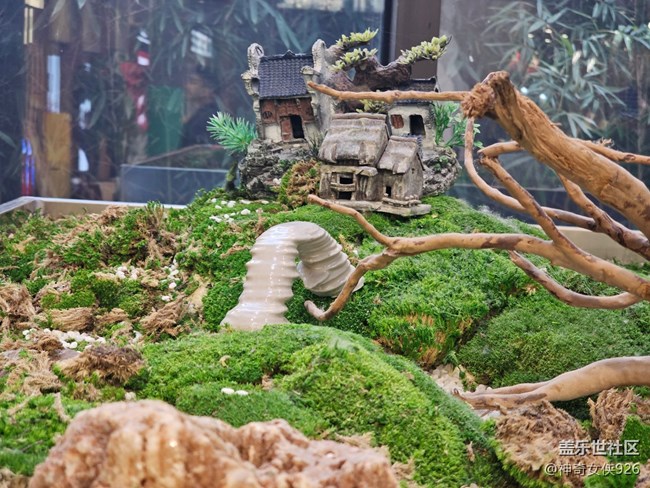 【星歲映像】微縮景觀