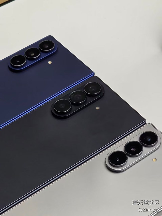 Z系列品鑒會 Z系列品鑒會