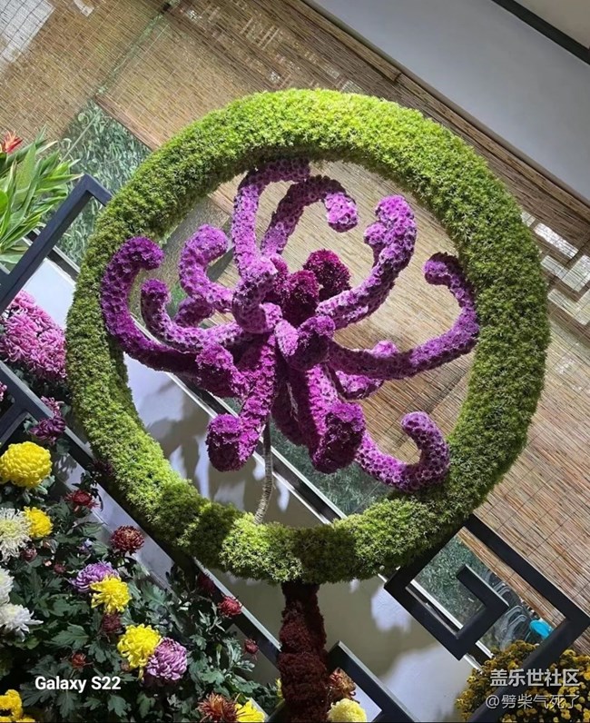 【三星視界】花藝展