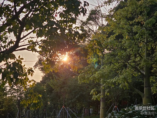 【秋末山景】太陽下山