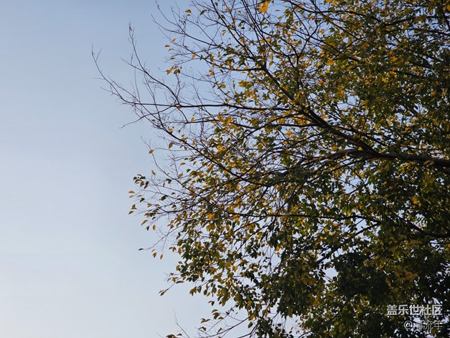 【秋末山景】太陽下山