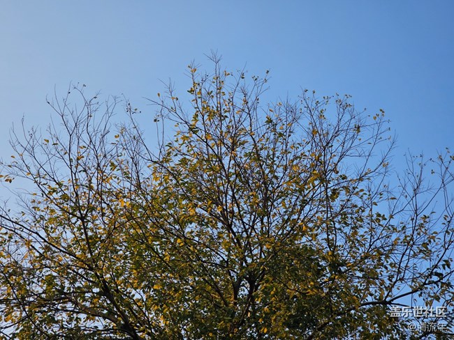 【秋末山景】太陽下山