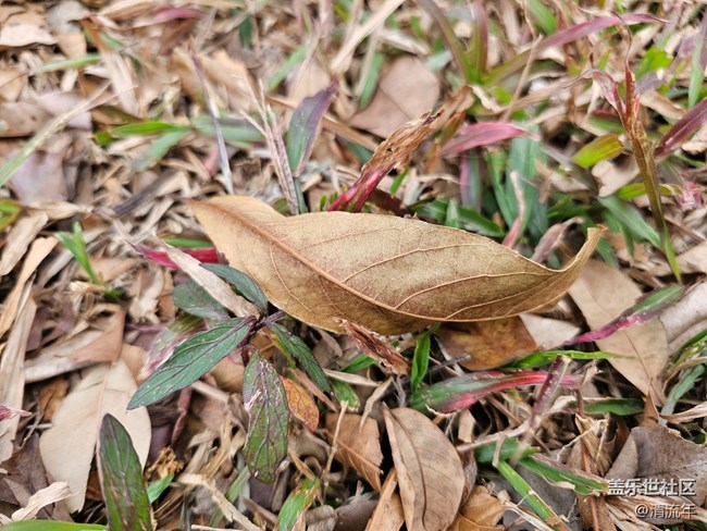 【街巷秋痕】漫步