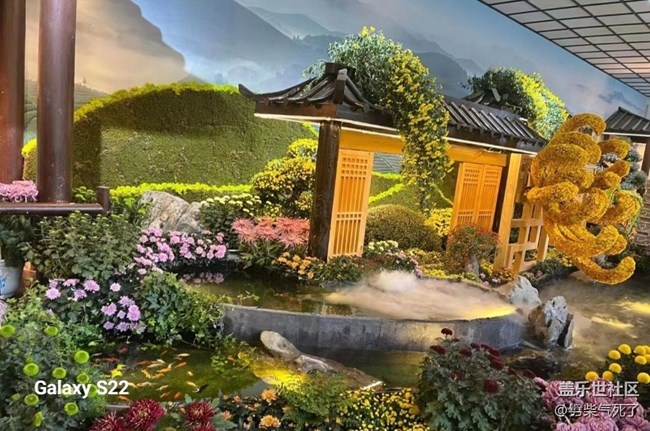 【三星視界】花藝展