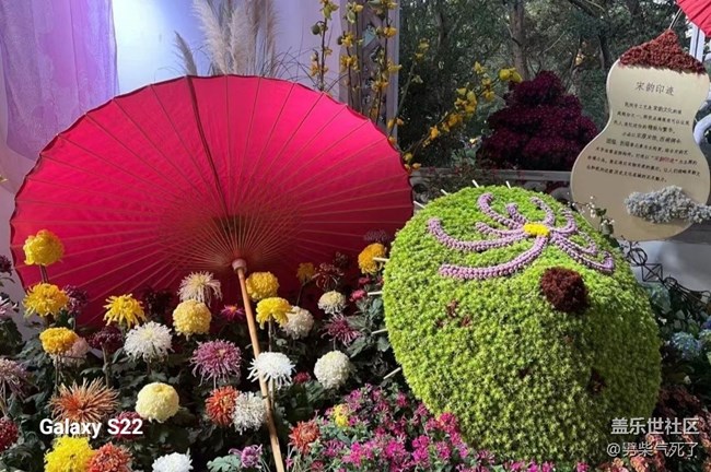 【三星視界】花藝展