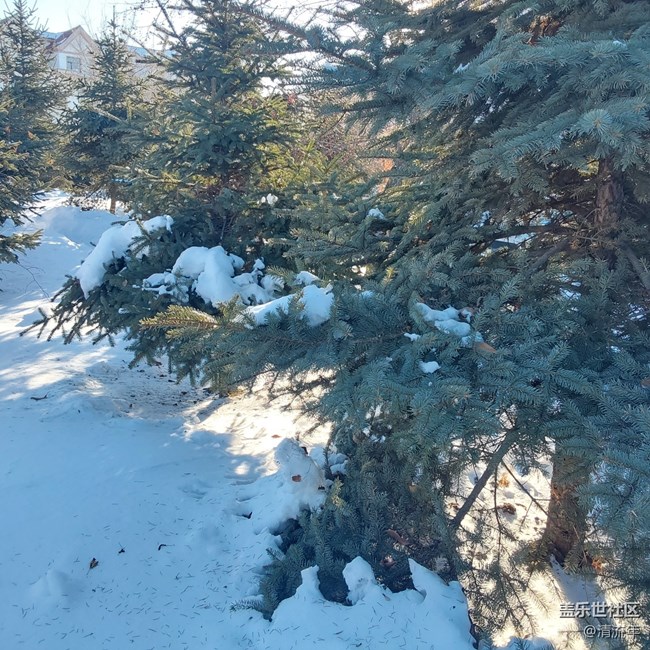 【銀裝視界】銀白世界