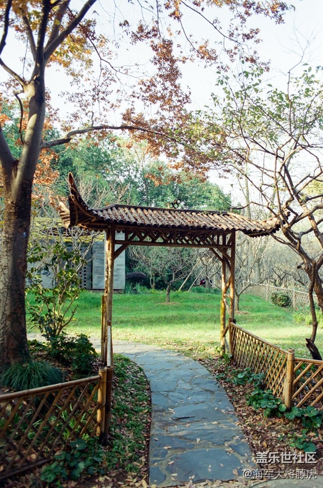 【秋末山景】秋末林間，是陽光染透的溫柔