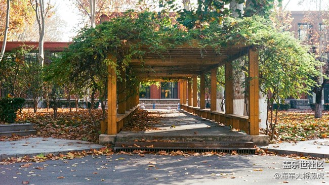 【秋末山景】秋末林間，是陽光染透的溫柔