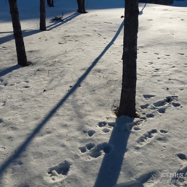 【銀裝視界】銀白世界