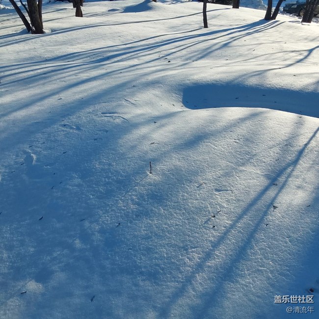 【銀裝視界】銀白世界