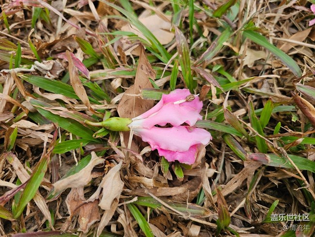 【街巷秋痕】漫步