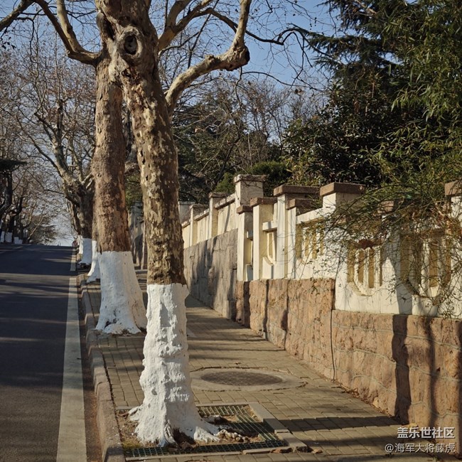 【街巷秋痕】街巷里的秋痕，是時光輕擦的痕跡