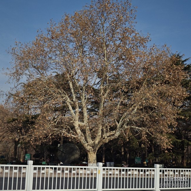 【街巷秋痕】街巷里的秋痕，是時光輕擦的痕跡