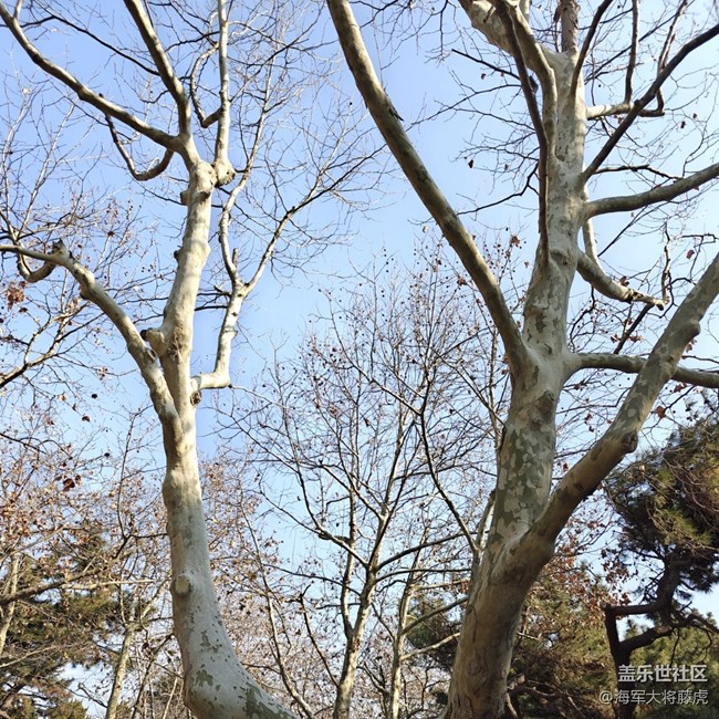 【街巷秋痕】街巷里的秋痕，是時光輕擦的痕跡