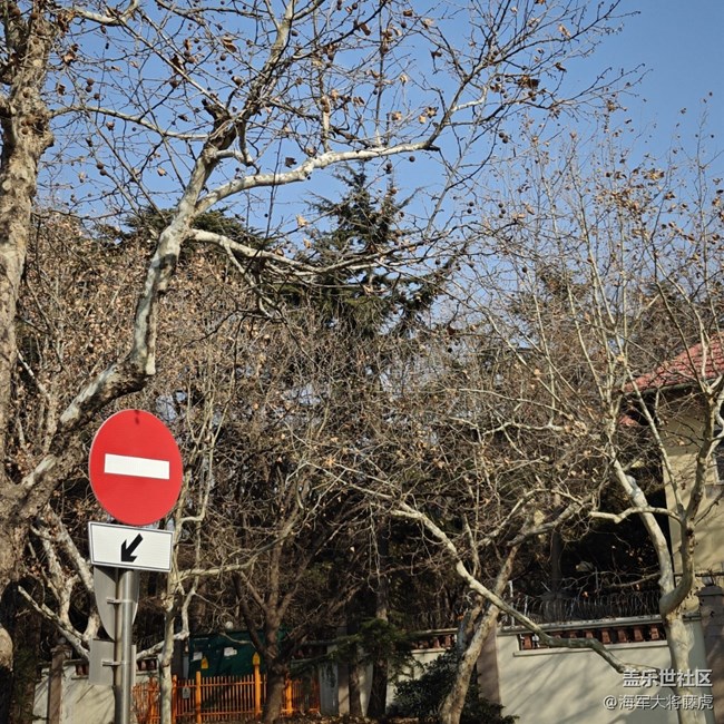 【街巷秋痕】街巷里的秋痕，是時光輕擦的痕跡