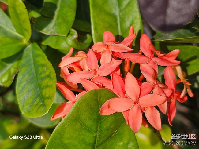 【三星視界】降溫了