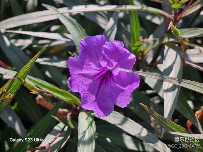 【三星視界】降溫了