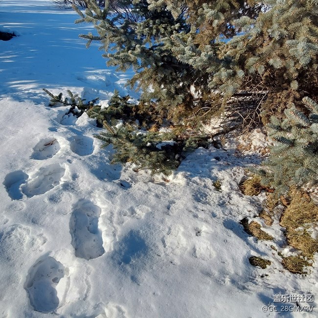【銀裝視界】下雪