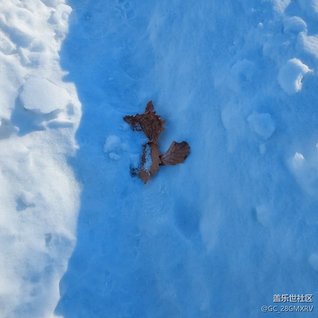 【銀裝視界】下雪