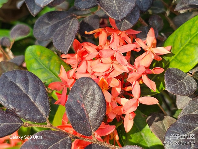 【三星視界】降溫了