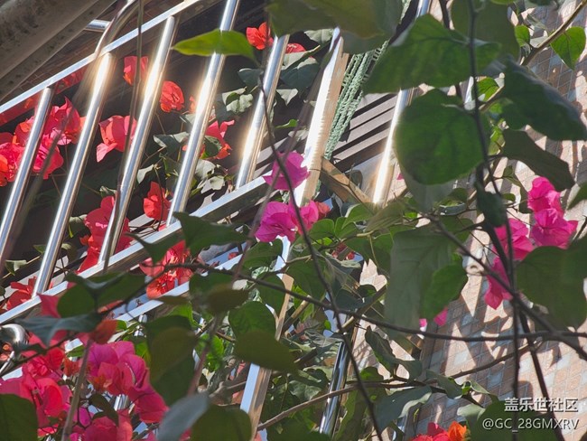 【地域拼圖】街巷角落