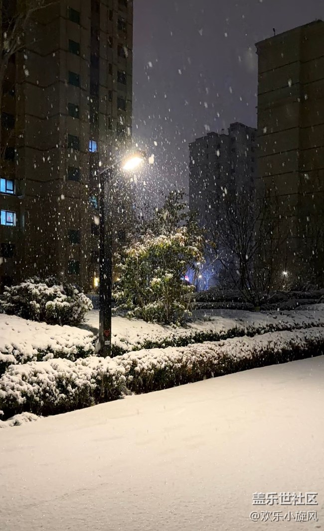 【銀裝視界】雪落無聲