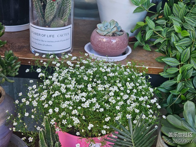 【星歲映像】花店