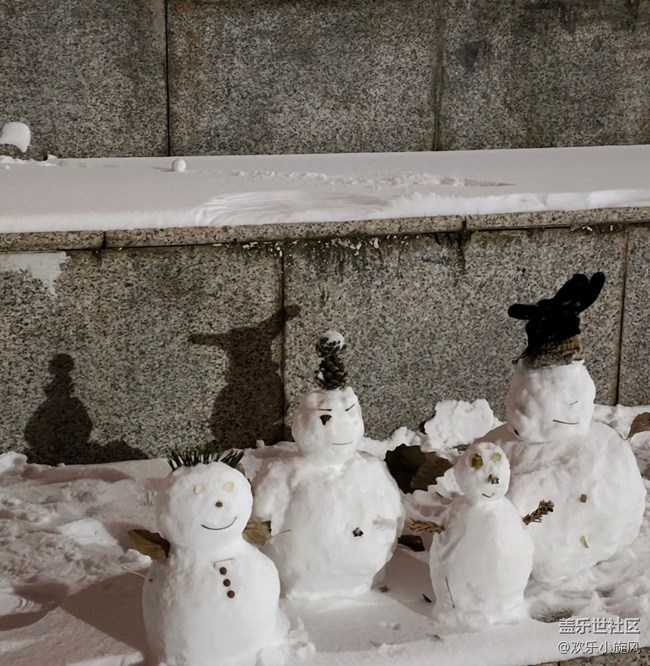 【銀裝視界】雪落無聲