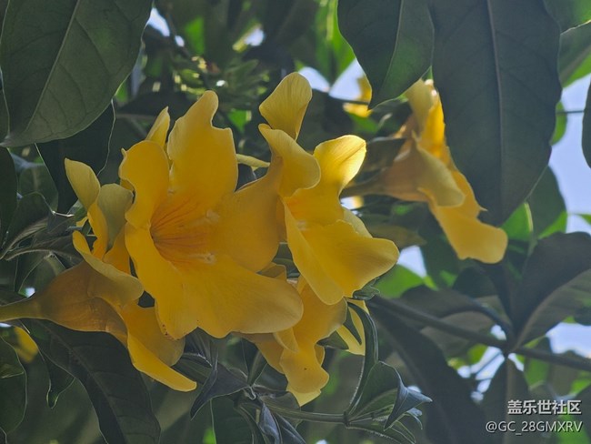 【地域拼圖】街巷角落