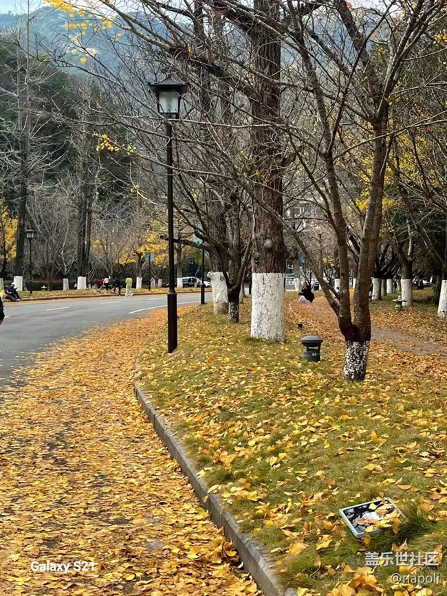 【三星視界】紅葉