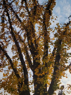 【順光逆光】隨拍風(fēng)景