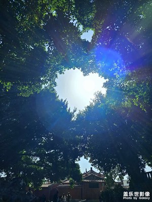 【順光逆光】光影之下