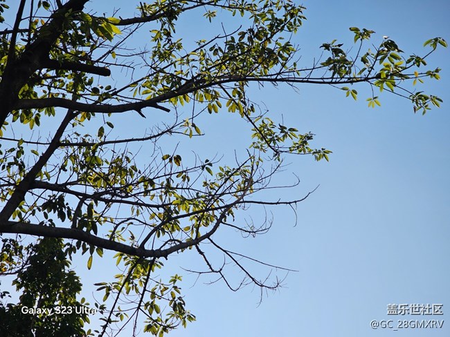 【三星視界】降溫了