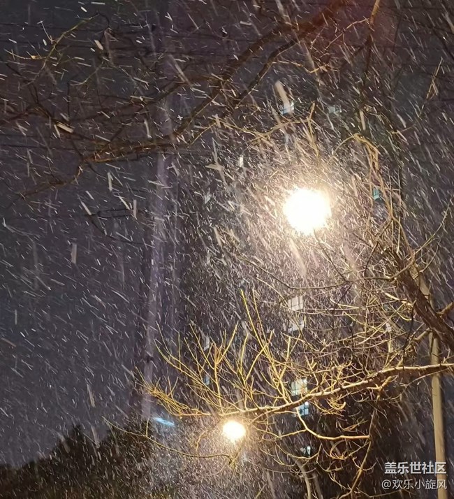 【銀裝視界】雪落無聲