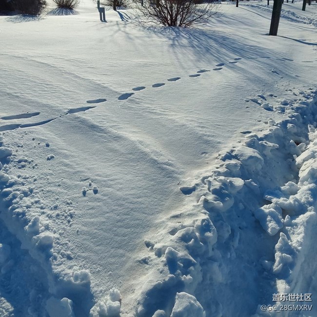 【銀裝視界】下雪