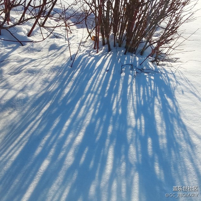 【銀裝視界】下雪