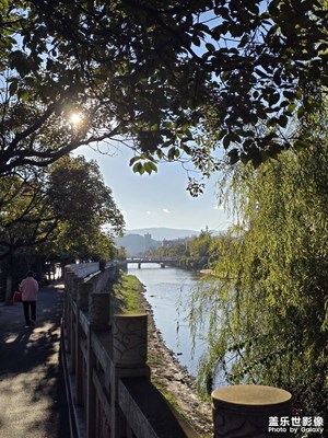 【順光逆光】光