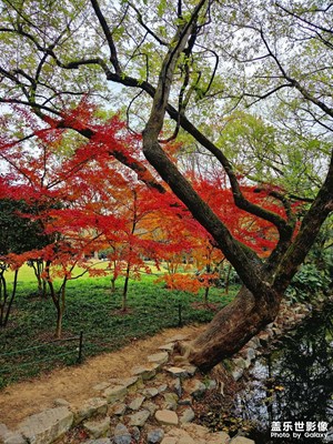 杭州九溪楓景