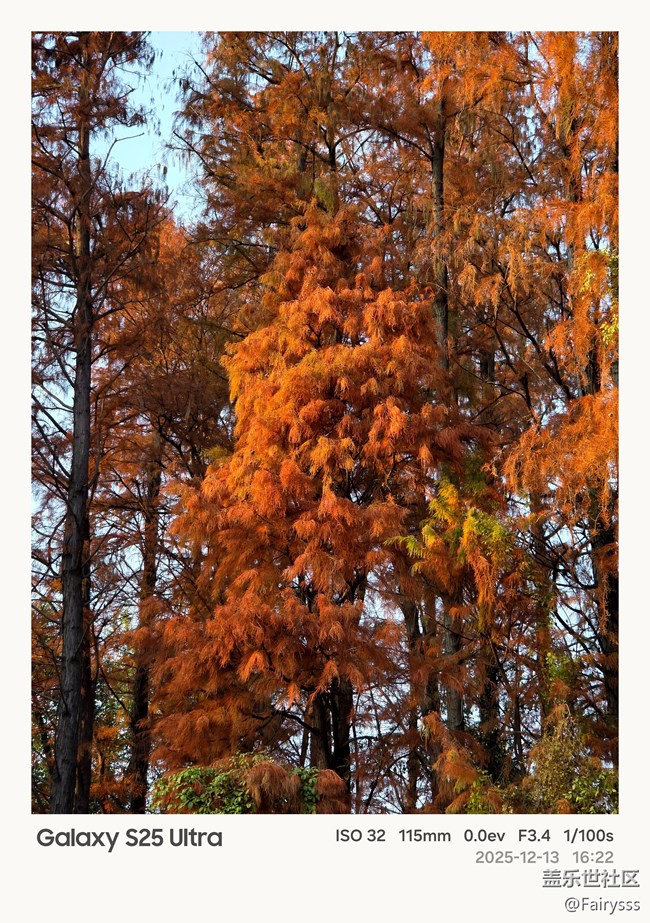 【Galaxy AI奇妙游】植物王國